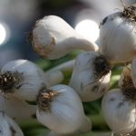 如何在金都国际注册网站上顺利完成注册流程 0ndkojznl