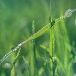 如何在必赢娱乐注册平台上获得更多游戏乐趣与奖励 99xe9