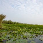 如何在欧洲足球赔率网站上获取最佳投注策略 cc51m81c