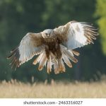 如何安全便捷地进行必赢娱乐官网登录,享受精彩游戏体验 dakowx6